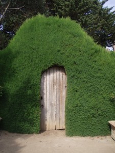 Ashcombe Maze, Mornington Peninsula