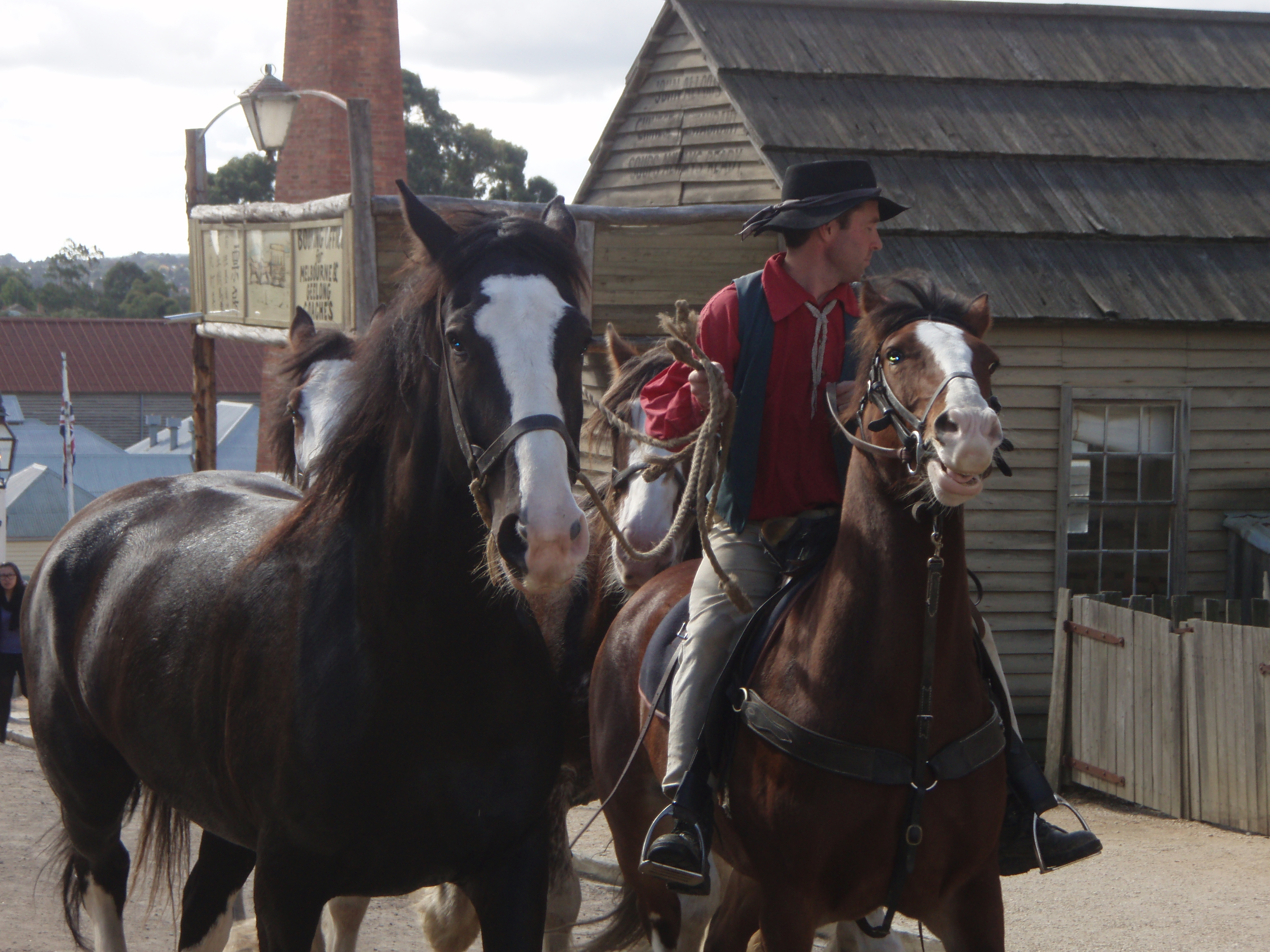 Sovereign Hill (Ballarat)